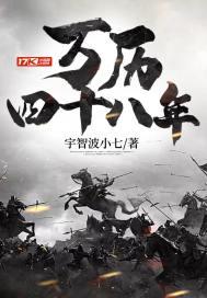 万历四十八年封面