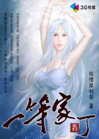 一等家丁封面