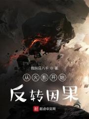 从火影开始反转负面属性封面