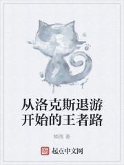 从洛克斯退游开始的王者路封面