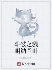 斗破之我叫纳兰叶封面