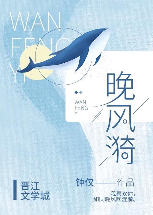 晚风漪封面