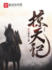 掠天记封面