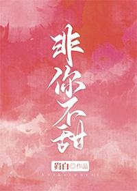 非你不甜封面