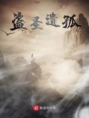盗圣遗孤封面