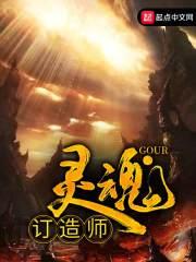 灵魂订造师封面