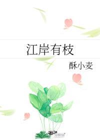 江岸有枝封面