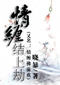 情缠劫上结封面