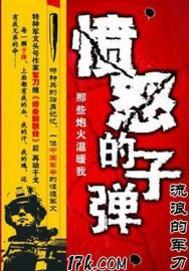 愤怒的子弹封面