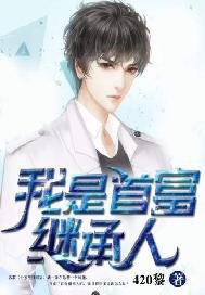 我是首富继承人封面