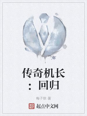 传奇机长：回归封面