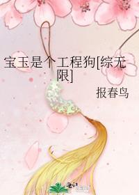 宝玉是个工程狗[综无限]封面