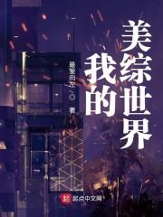 我的美综世界封面