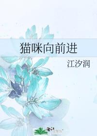猫咪向前进封面