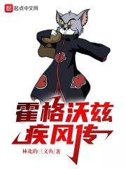 霍格沃茨疾风传封面