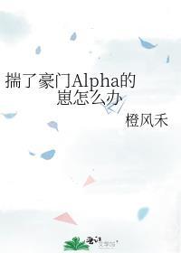 揣了豪门Alpha的崽怎么办封面