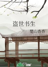 盗世书生封面