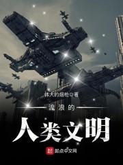 流浪的人类文明封面