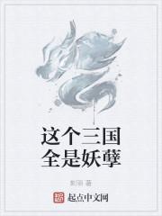 这个三国全是妖孽封面