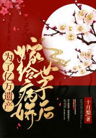 嫁前夫封面