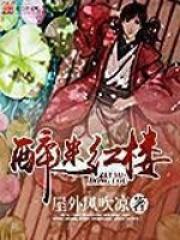 醉迷红楼封面