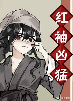 红袖凶猛封面