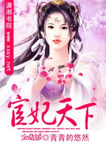 宦妃天下封面