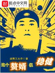 这个赘婿很稳健封面