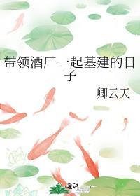 带领酒厂一起基建的日子封面