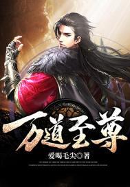 万道至尊封面