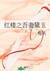 红楼之吾妻黛玉封面
