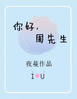 你好，周先生封面