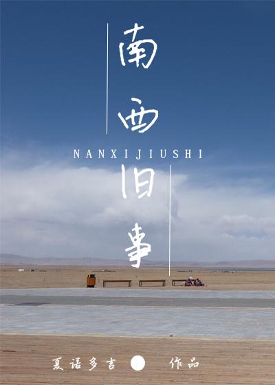 南西旧事封面