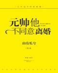 元帅他不同意离婚封面