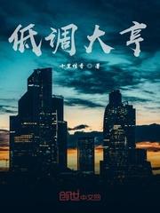 低调大亨封面