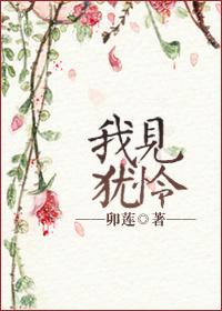 我见犹怜封面