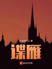 谍雁封面