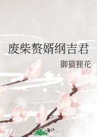 废柴赘婿纲吉君封面