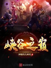 峡谷之巅封面