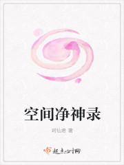 空间净神录封面