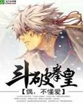斗破拳皇封面