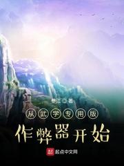 从武学专用版作弊器开始封面