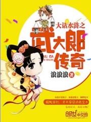 大话水浒之武大郎传奇封面