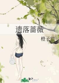 遗落蔷薇封面
