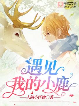遇见我的小鹿封面