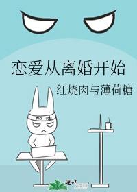 恋爱从离婚开始封面
