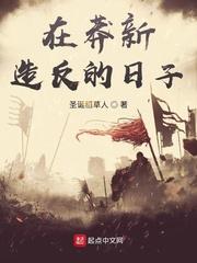 在莽新造反的日子封面