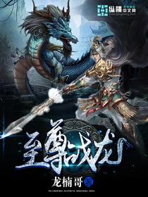 至尊战龙封面