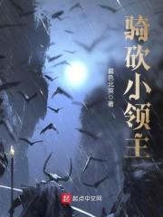 骑砍小领主封面