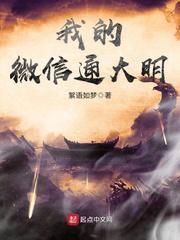 我的微信通大明封面